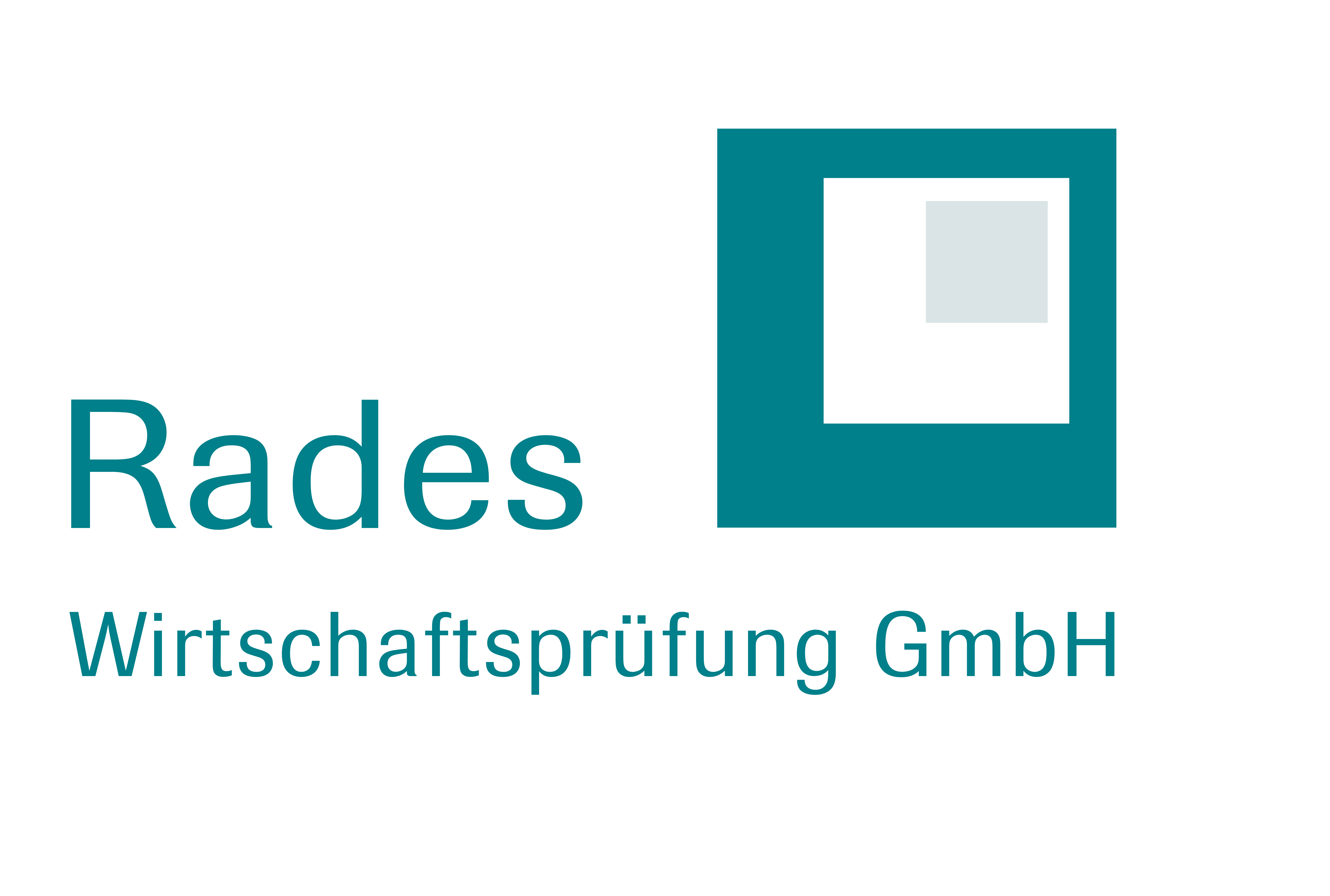 Rades Wirtschaftsprüfung